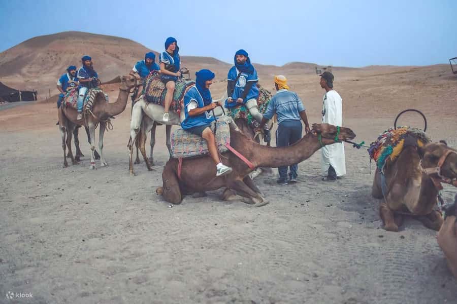 From Marrakech: Camel, Quad Bike Tour, Sunset, Dinner & Show - The argan oil cooperative stop