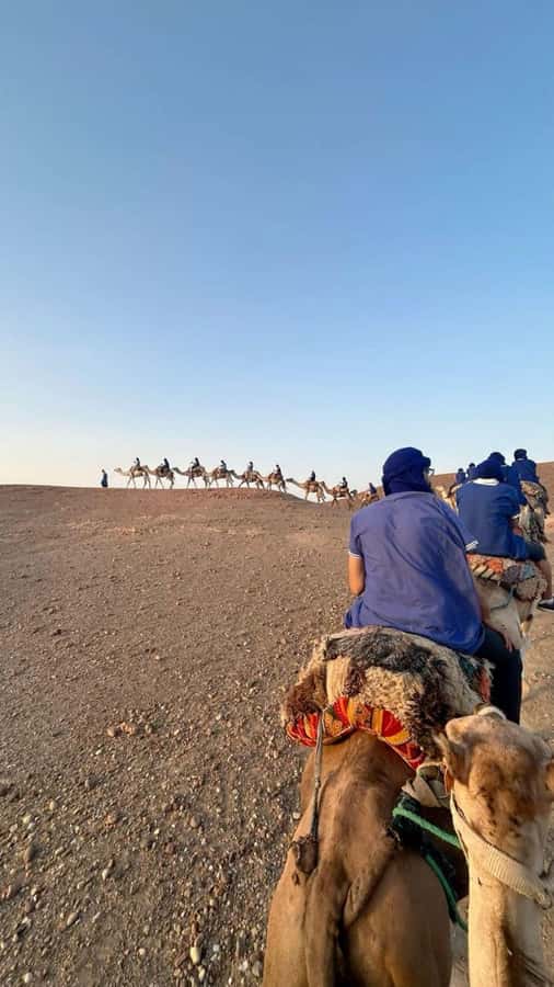 From Marrakech: Camel, Quad Bike Tour, Sunset, Dinner & Show - Gnawa music, dance, and fire