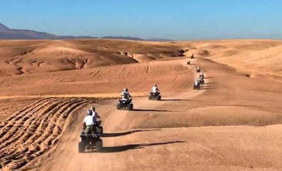 From Marrakech: Camel, Quad Bike Tour, Sunset, Dinner & Show - Is $28 good value?
