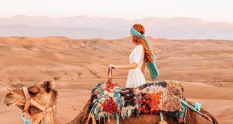From Marrakech: Camel, Quad Bike Tour, Sunset, Dinner & Show - Who should book this evening?