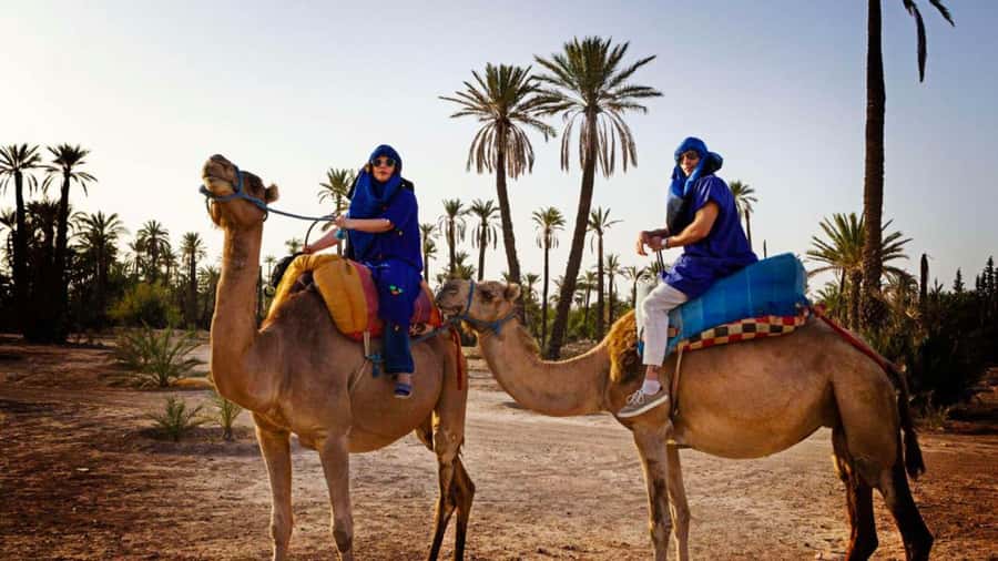 From Marrakech: Camel ride in the oasis palmeraie Grove - Leaving Marrakech for the Palmeraie