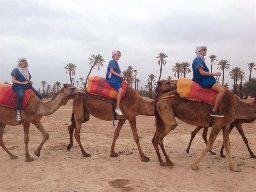 From Marrakech: Camel Ride, Quad Bike & Spa Full-Day Trip - Why this combination works so well