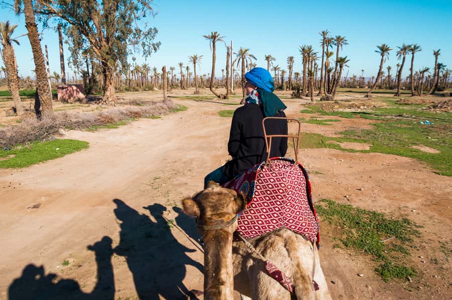 From Marrakech: Camel Ride, Quad Bike & Spa Full-Day Trip - The Palmeraie camel ride