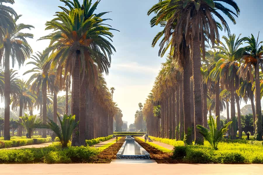 From Marrakech: Casablanca Day Trip by van - Hassan II Mosque, the day’s essential visit