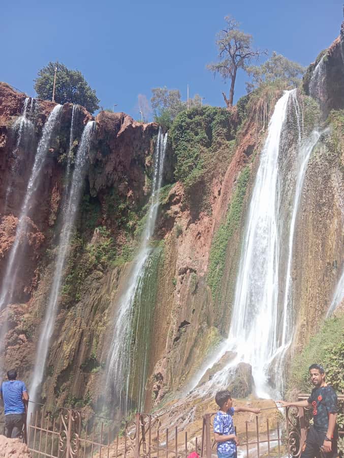 From Marrakech: Day Tour to Ouzoud Waterfalls - The monkeys: entertaining, but not tame