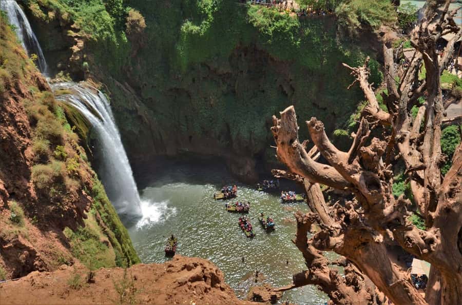 From Marrakech: Day Tour to Ouzoud Waterfalls - Lunch above the falls, with a clear view