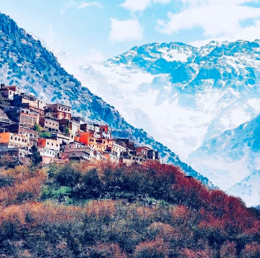 From Marrakech: Day Trip to Anima Garden and Imlil Valley - Key points to know before you book
