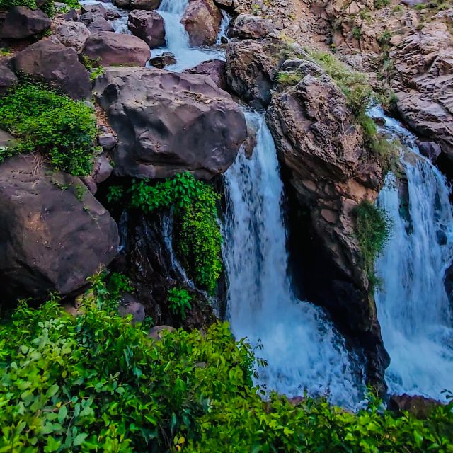 From Marrakech: Day Trip to Anima Garden and Imlil Valley - What the $39 price really covers
