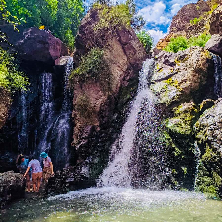 From Marrakech: Day Trip to Anima Garden and Imlil Valley - Guides can shape the entire day