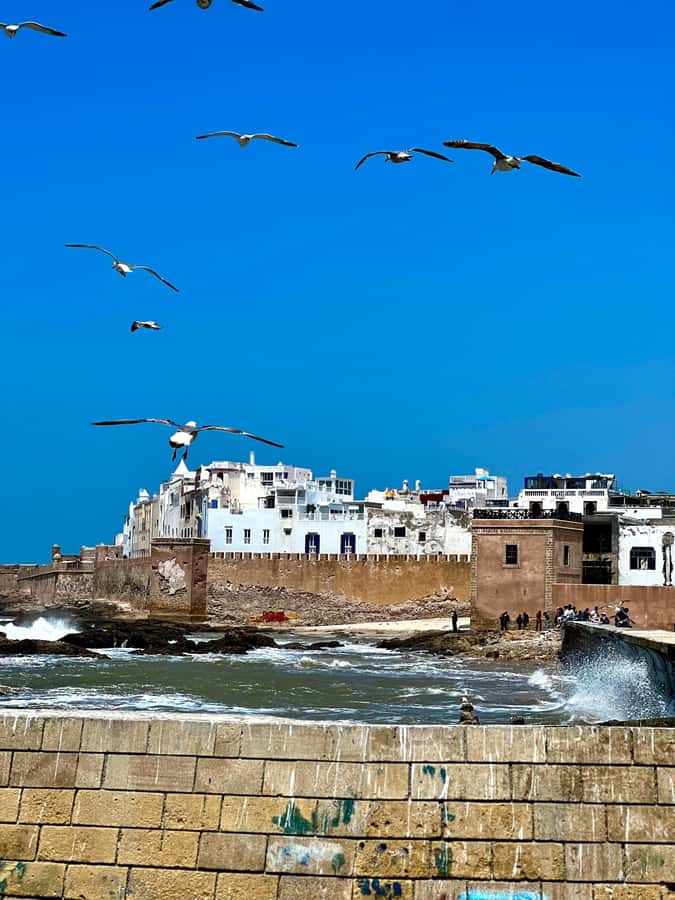 From Marrakech: Day Trip to Essaouira with Transfers - The Chichaoua break after about 75 minutes