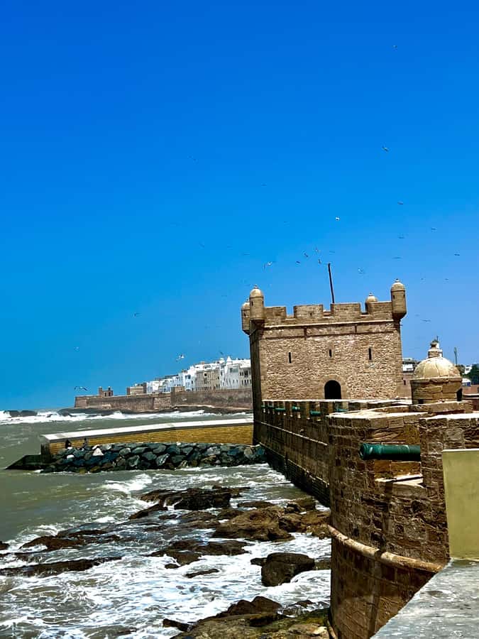 From Marrakech: Day Trip to Essaouira with Transfers - The harbor and a serious seafood lunch