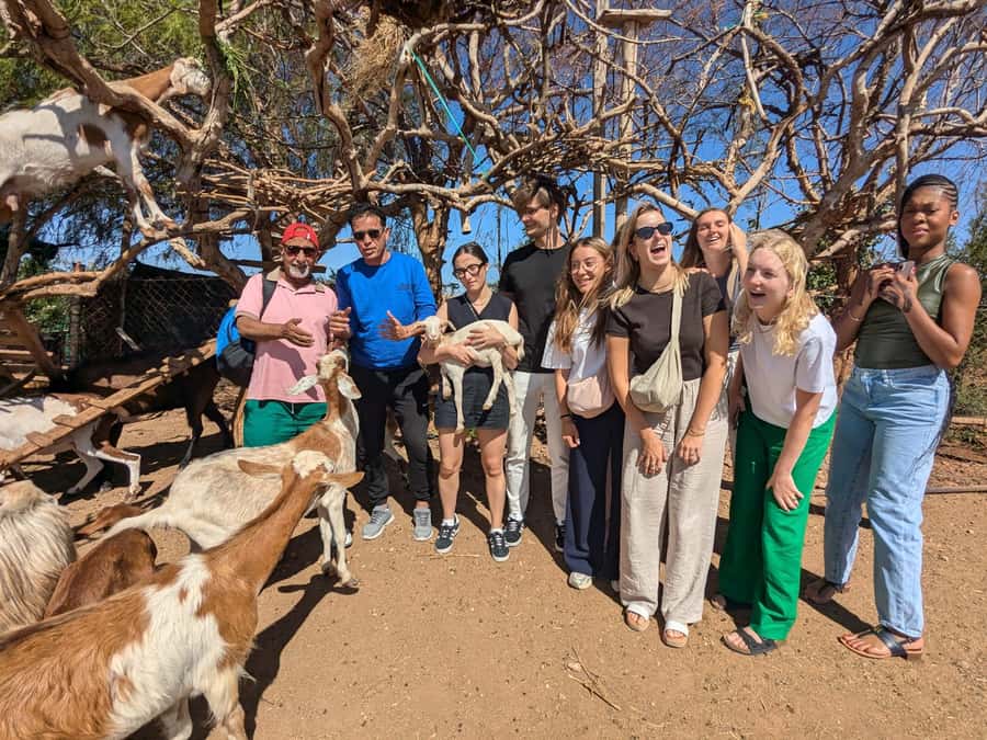From Marrakech: Day Trip to Essaouira with Transfers - The beach, swimming, and wind