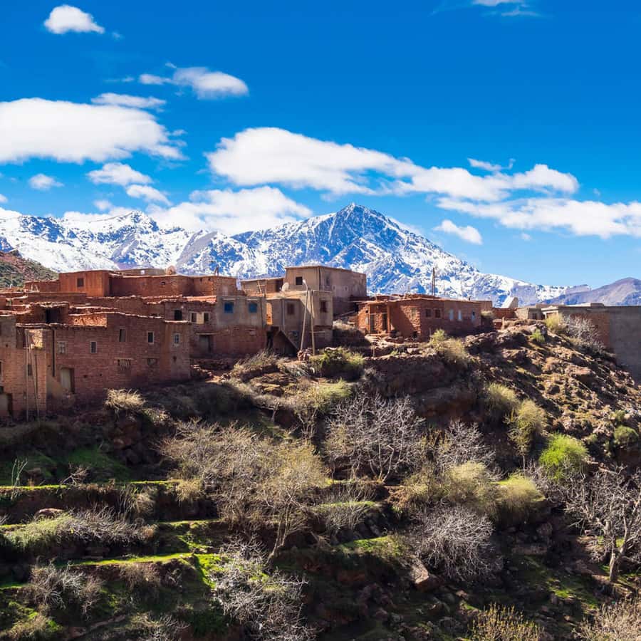 From Marrakech: Day Trip to Ourika Valley with Waterfalls - The walk to Setti Fatma Waterfalls