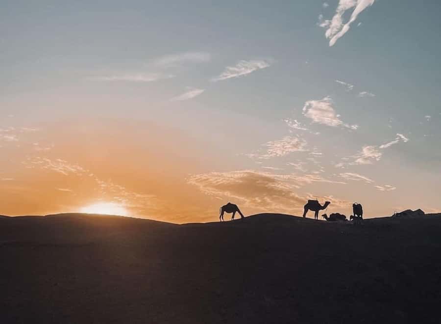 From Marrakech: Dinner show in Agafay Desert & Sunset Quad - Why Agafay works for a one-evening escape