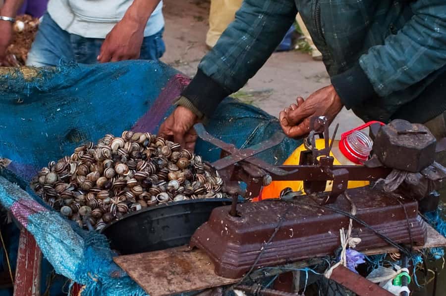 From Marrakech: Essaouira & Atlantic Coast Full-Day Trip - The Skala du Port and the 16th-century walls
