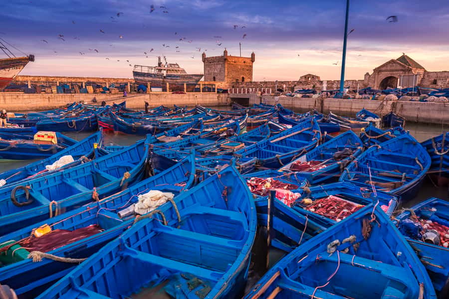 From Marrakech: Essaouira & Atlantic Coast Full-Day Trip - Is $27 good value?