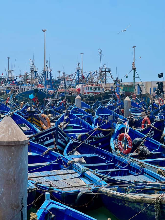 From Marrakech: Essaouira Coastal City Day Trip - Key points to know before booking