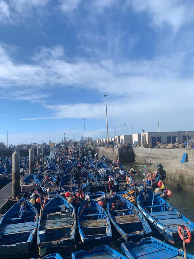 From Marrakech: Essaouira Coastal City Day Trip - Why Essaouira makes a fine escape from Marrakech