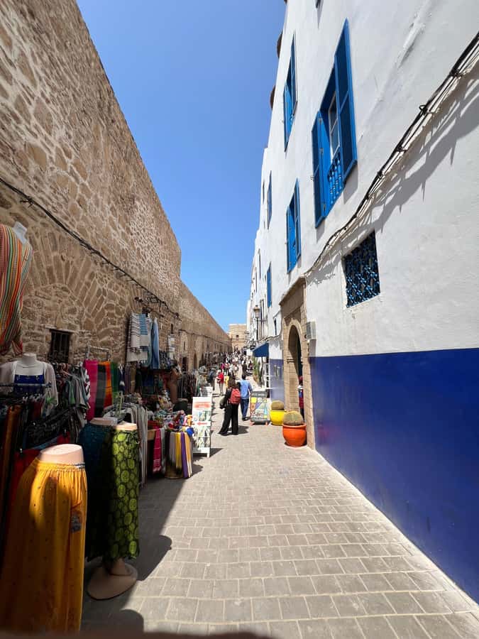 From Marrakech: Essaouira Coastal City Day Trip - The argan oil cooperative adds local context