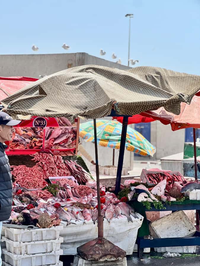 From Marrakech: Essaouira Coastal City Day Trip - What to do with your four hours
