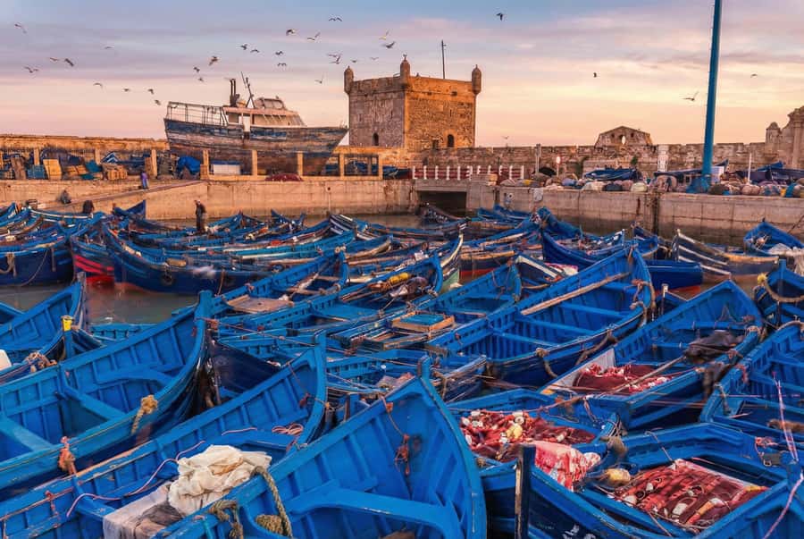 From Marrakech: Essaouira Coastal Escape with Lunch - Why Essaouira makes a good break from Marrakech