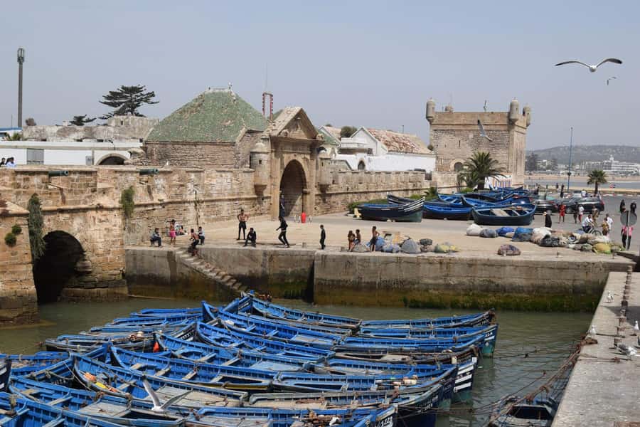 From Marrakech: Essaouira Coastal Escape with Lunch - Who will enjoy this day most