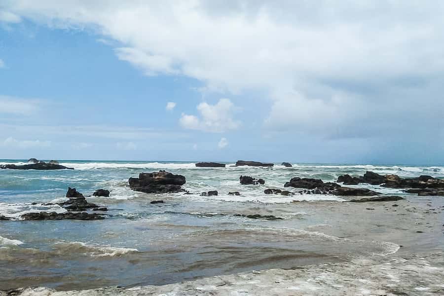 From Marrakech: Essaouira Day Tour with Optional Activities - Four hours around the port, Medina, and beach