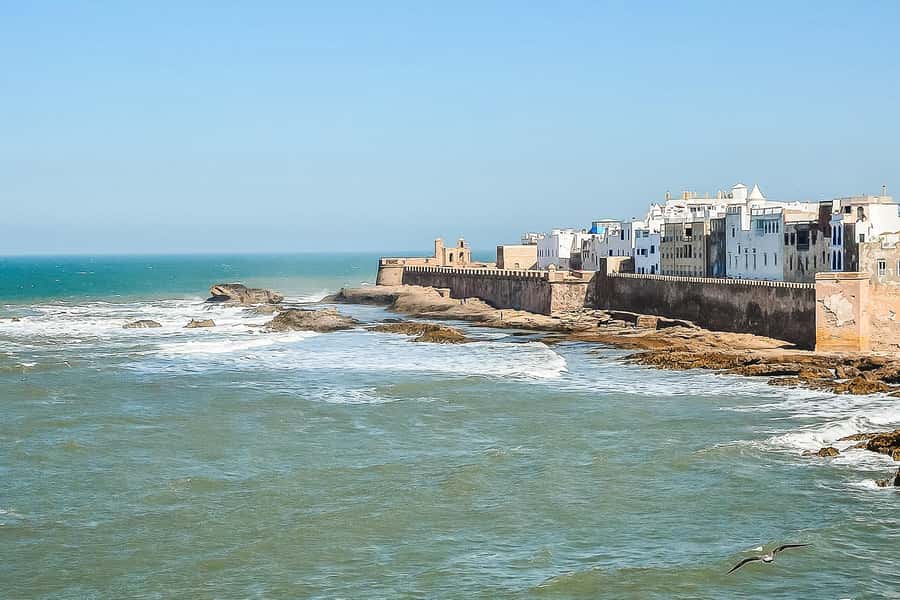 From Marrakech: Essaouira Day Tour with Optional Activities - Choosing lunch in Essaouira