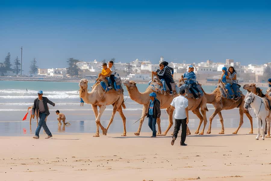 From Marrakech: Essaouira day Trip with camel, horse & quad - Should you book this Essaouira day trip?