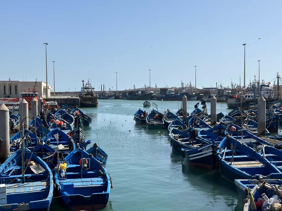 From Marrakech: Essaouira day Trip with camel, horse & quad - Why Essaouira makes a good escape from Marrakech