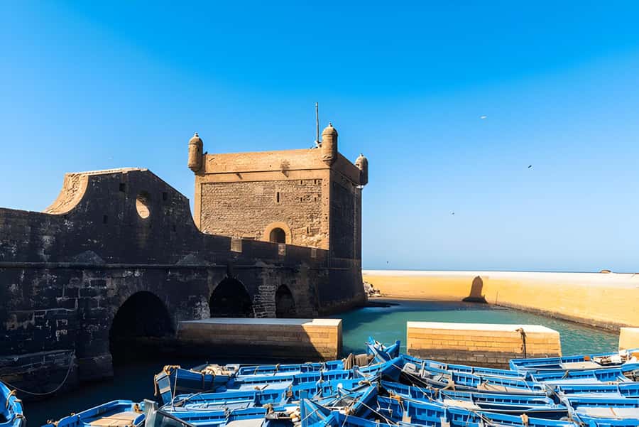 From Marrakech: Essaouira day Trip with camel, horse & quad - The argan oil cooperative, useful stop or missed promise