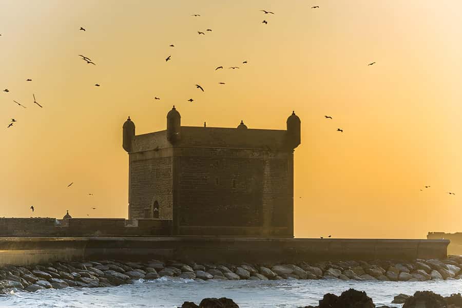 From Marrakech: Essaouira day Trip with camel, horse & quad - Lunch, drinks, and the real cost