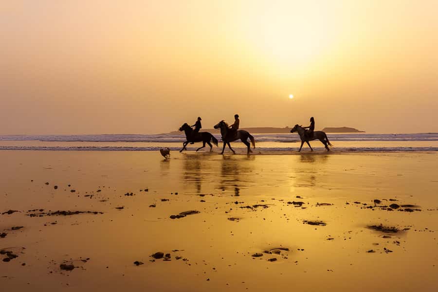From Marrakech: Essaouira day Trip with camel, horse & quad - Should you book it?