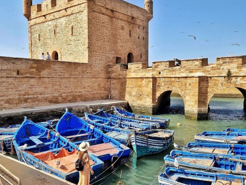 From Marrakech: Essaouira Day Trip with Hotel Pickup - What to bring and how to use your time