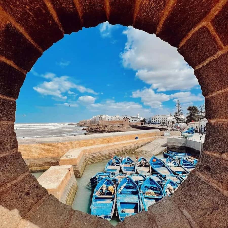 From Marrakech: Essaouira Full day trip, beach and History - The fishing port and seafood stop