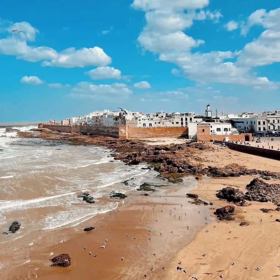 From Marrakech: Essaouira Full day trip, beach and History - The ramparts, cannons, and Atlantic views