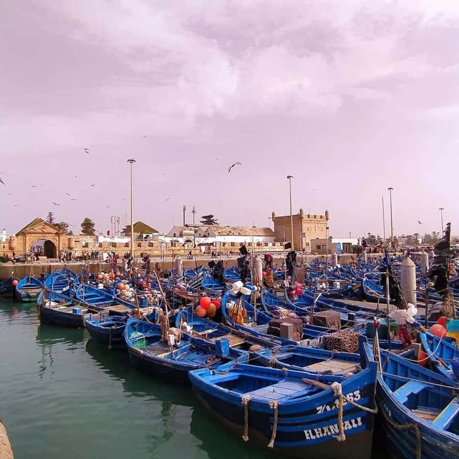 From Marrakech: Essaouira Full day trip, beach and History - Time on the beach