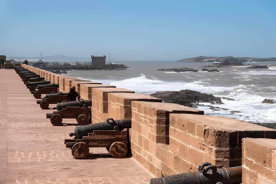 From Marrakech: Essaouira Full-Day Trip with Activities - Camel, horse, and quad options