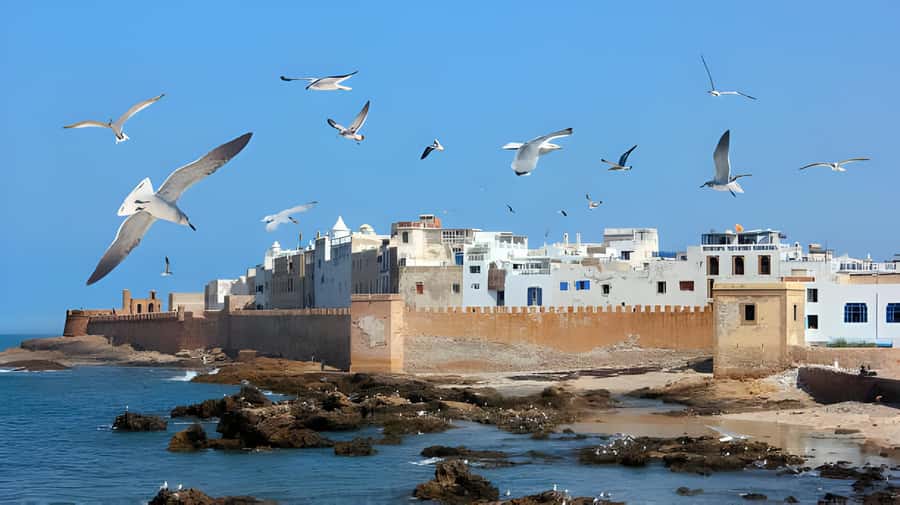 From Marrakech: Essaouira Private Full-Day Trip - Entering Essaouira through its old walls