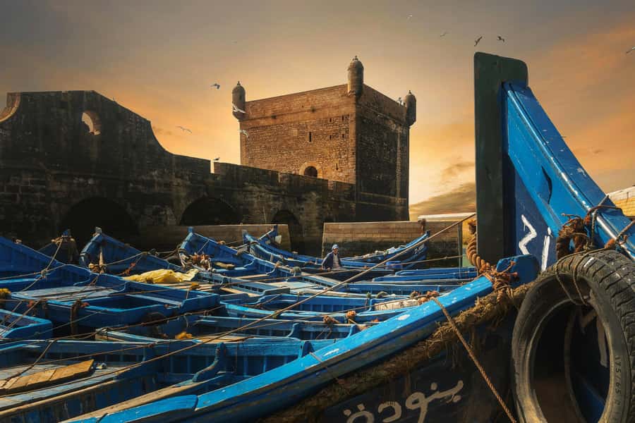 From Marrakech: Essaouira Private Full-Day Trip - Skala Harbour, fortresses, and the Atlantic view