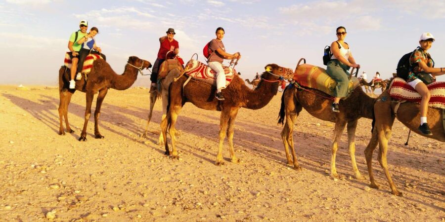 From Marrakech: Full-Day in the Atlas Mountains with Lunch - Should you book it?
