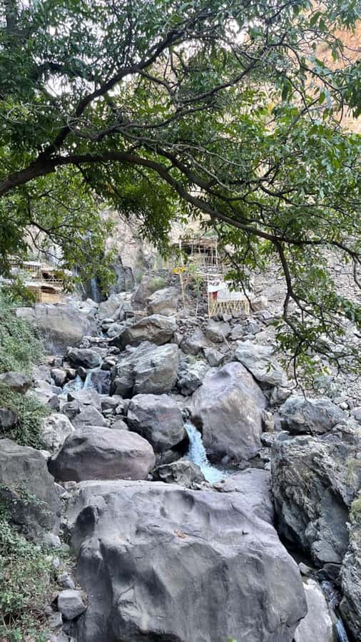 From Marrakech: Full-Day in the Atlas Mountains with Lunch - Argan oil, breakfast, and a useful cultural stop