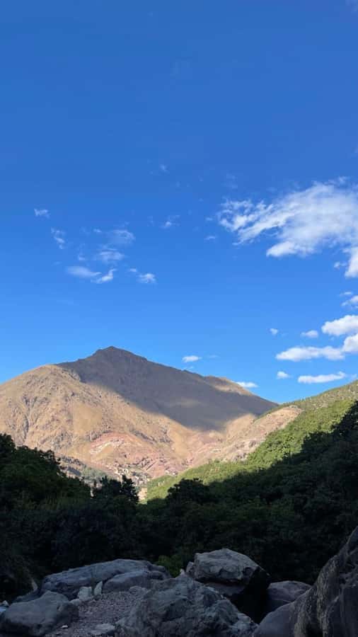 From Marrakech: Full-Day in the Atlas Mountains with Lunch - Lunch in a Berber home