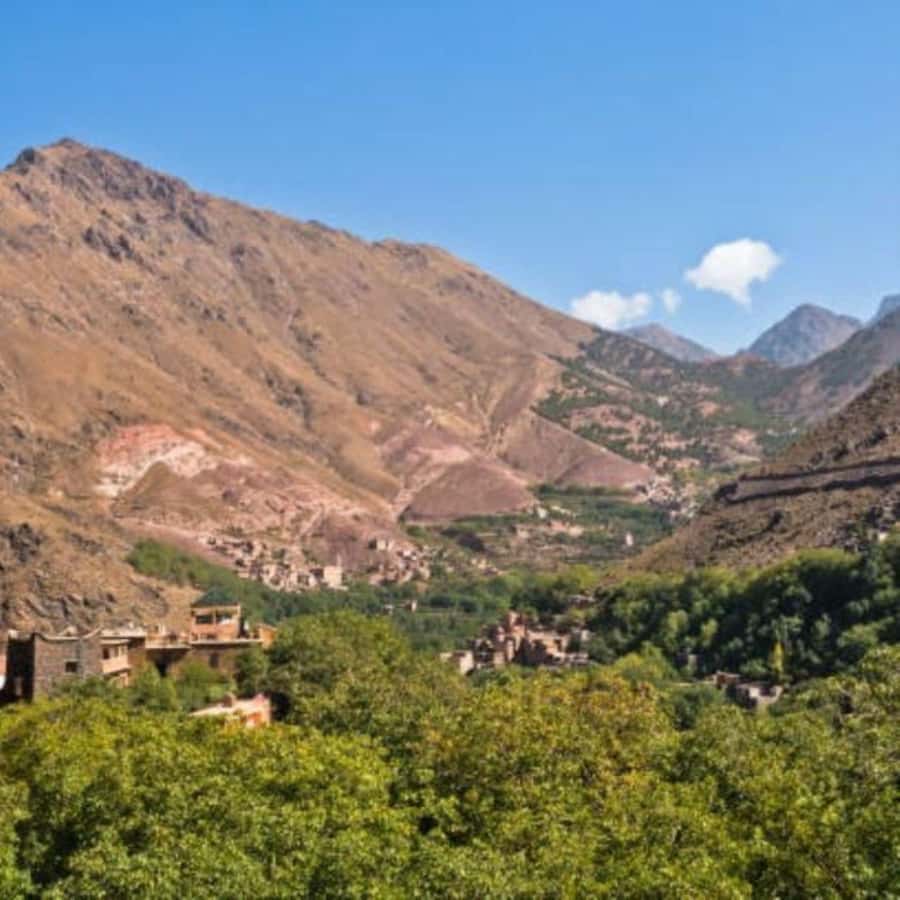 From Marrakech: Full-Day in the Atlas Mountains with Lunch - The Agafay Desert confusion