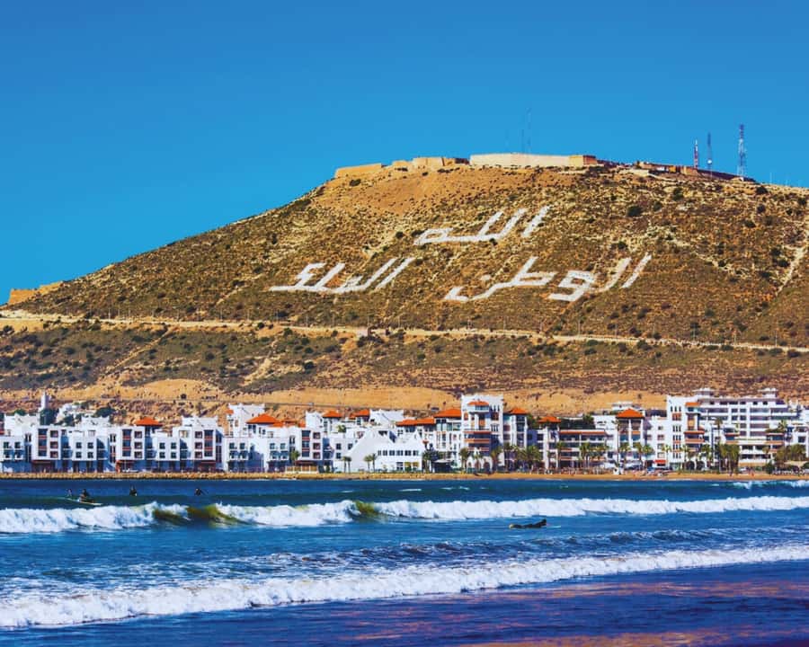 From Marrakech: Full-Day Trip to Agadir - Crocoparc: an unexpectedly strong first stop