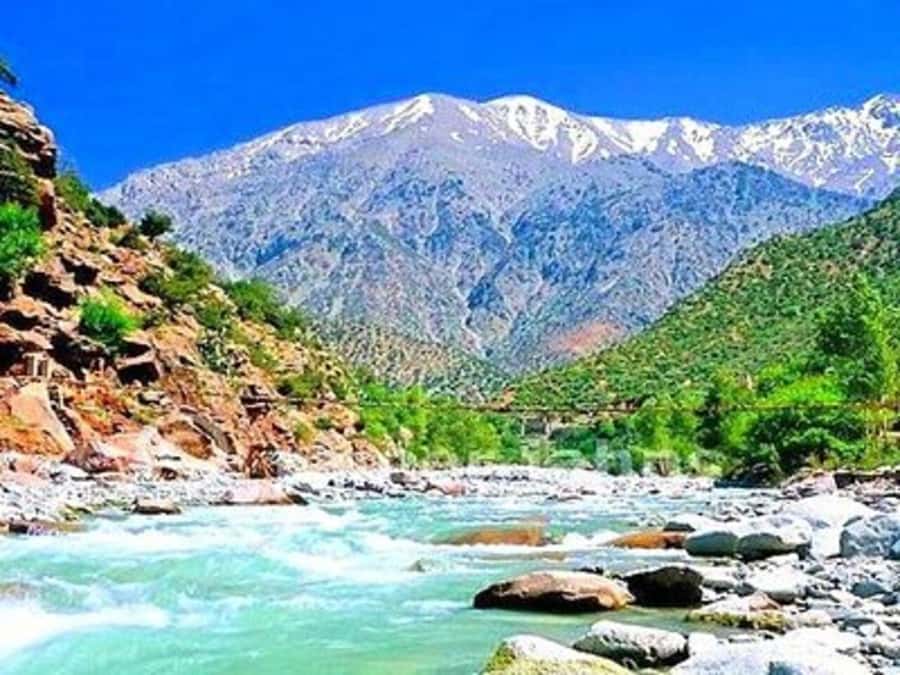 From Marrakech: Half-Day Tour to Atlas Mountains & Ourika - Lunch beside the river at Setti Fatma