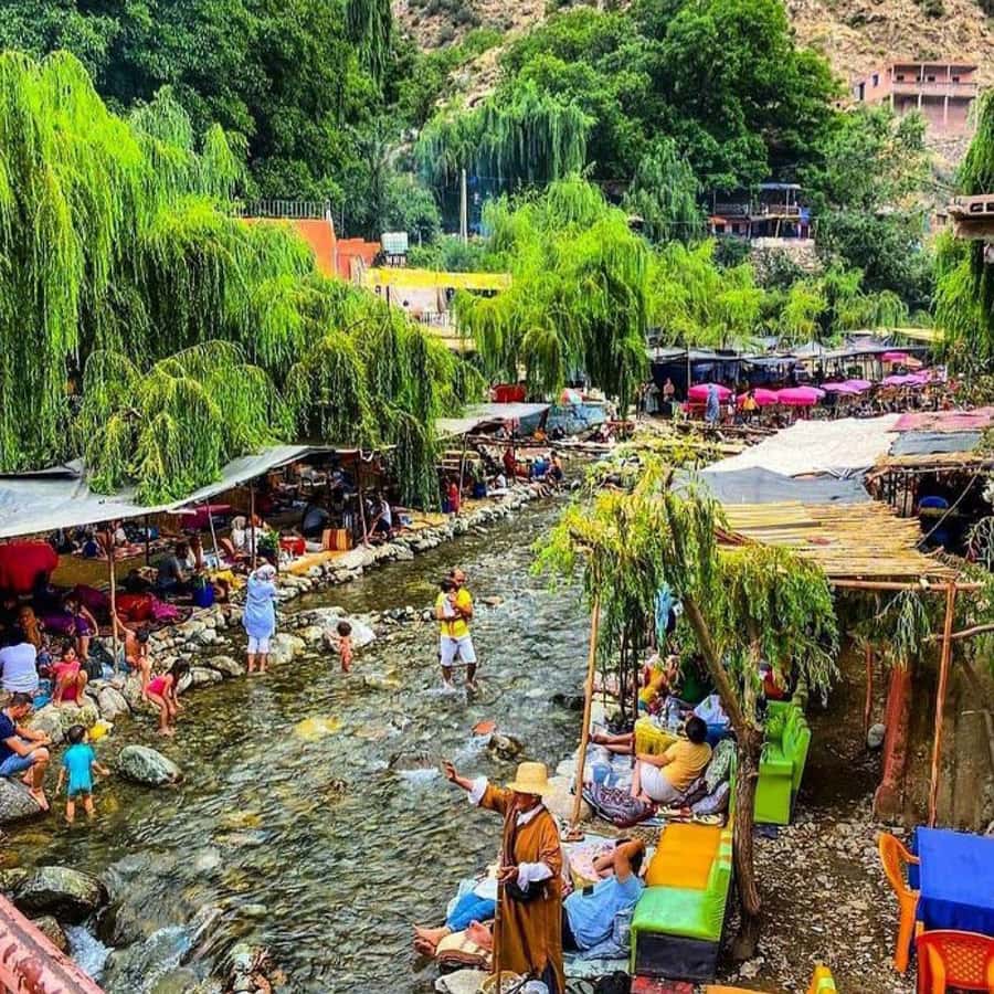 From Marrakech: Half-Day Tour to Atlas Mountains & Ourika - What the $17 price really gives you