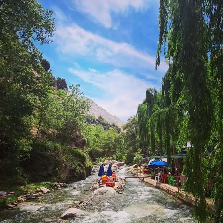 From Marrakech: Half-Day Tour to Atlas Mountains & Ourika - Who should book this Ourika excursion?