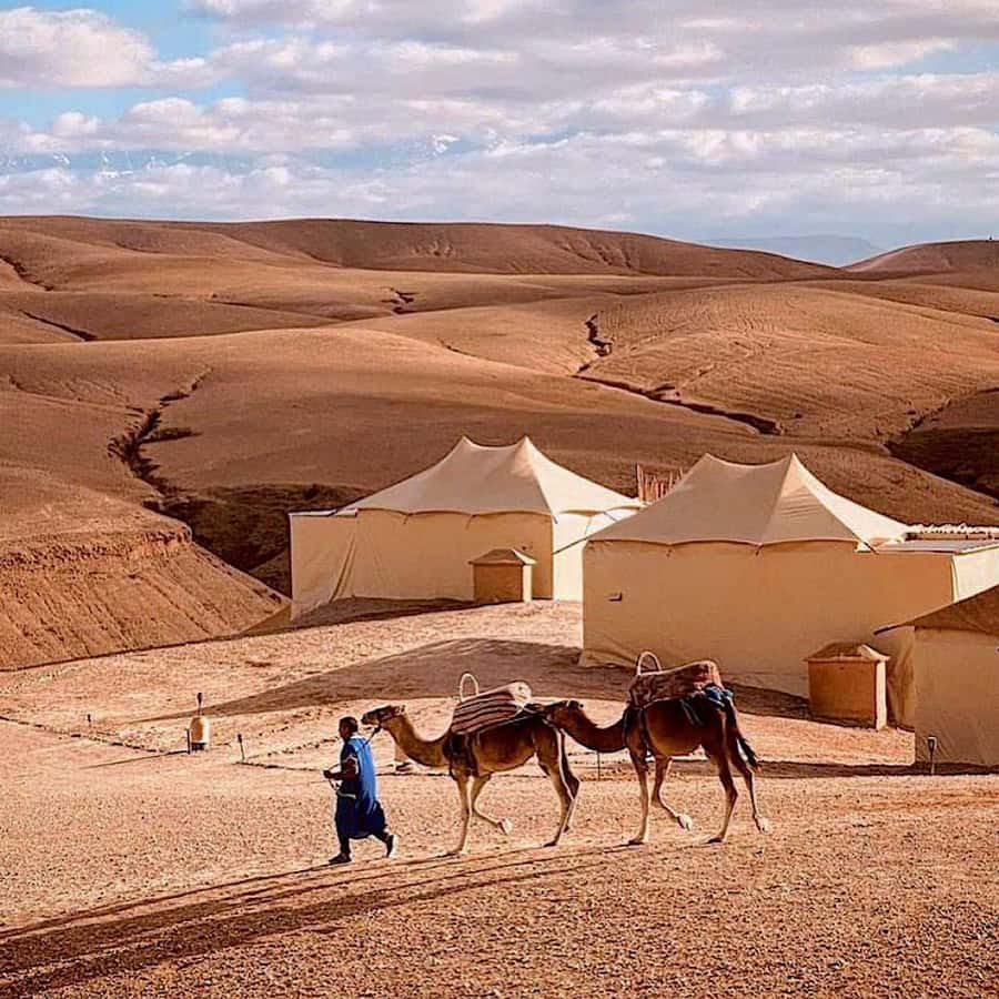 From Marrakech: High Atlas Mountains and 4 Valleys Day Trip - Key points to know before booking