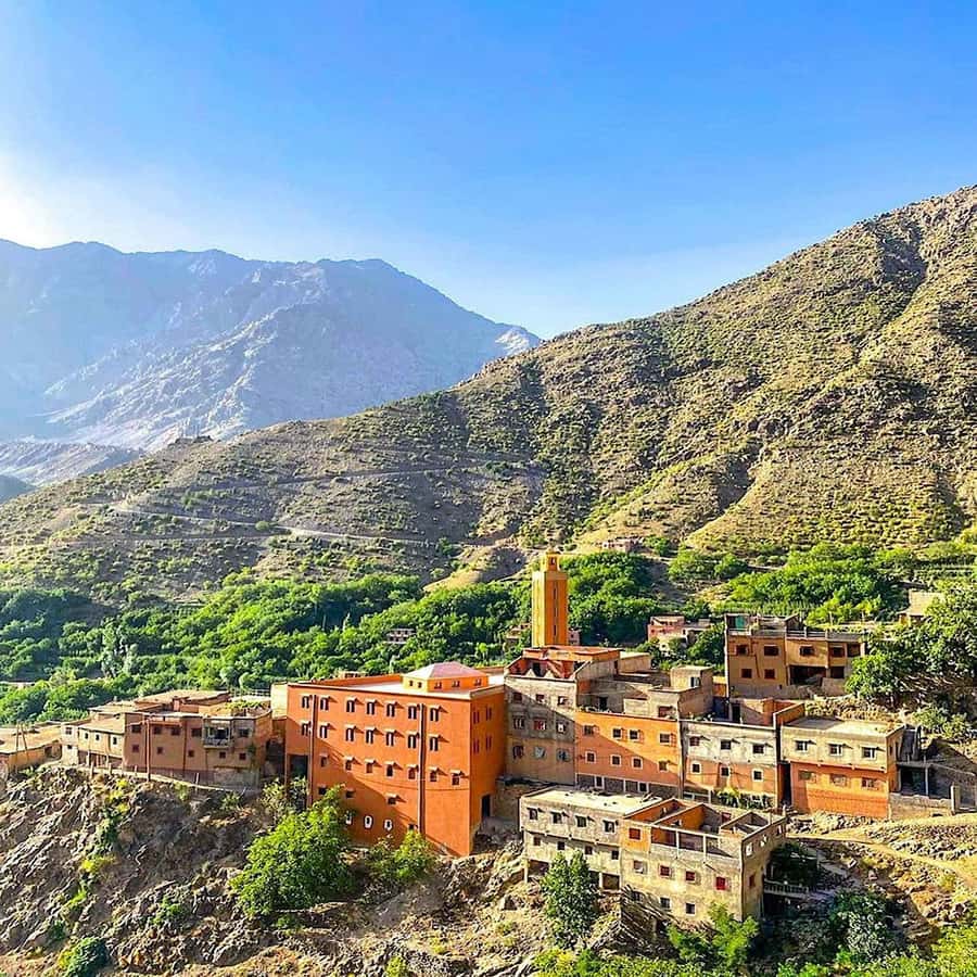 From Marrakech: High Atlas Mountains and 4 Valleys Day Trip - Argan oil, breakfast and the cooperative visit